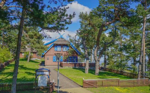 31_Thomo Mano muz..jpg